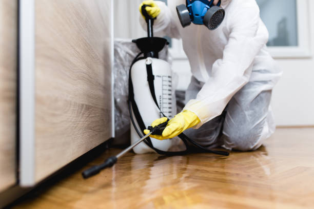 Trusted Denison, IA Pest Control Experts