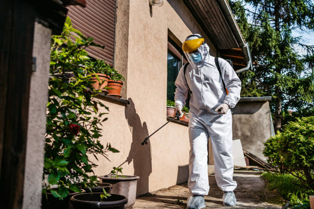Best Local Pest Control Services  in Denison, IA