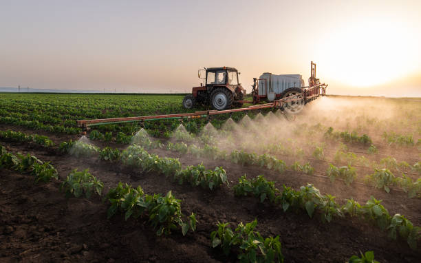 Best Wildlife Control Services  in Denison, IA