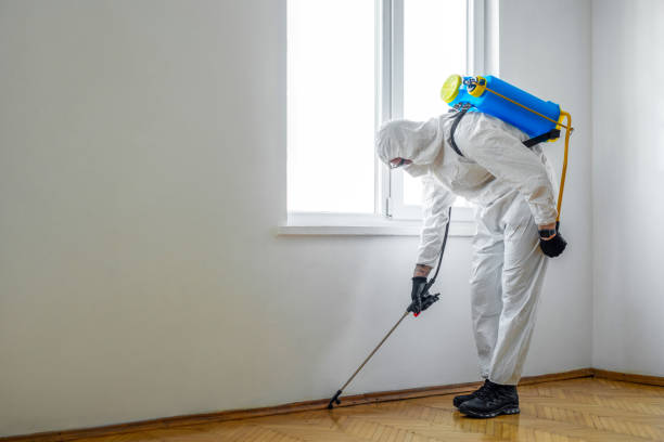 Best Exterminator Services  in Denison, IA