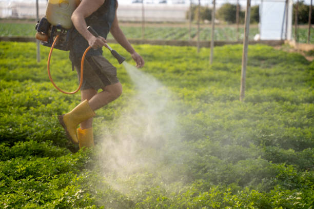 Best Residential Pest Control  in Denison, IA