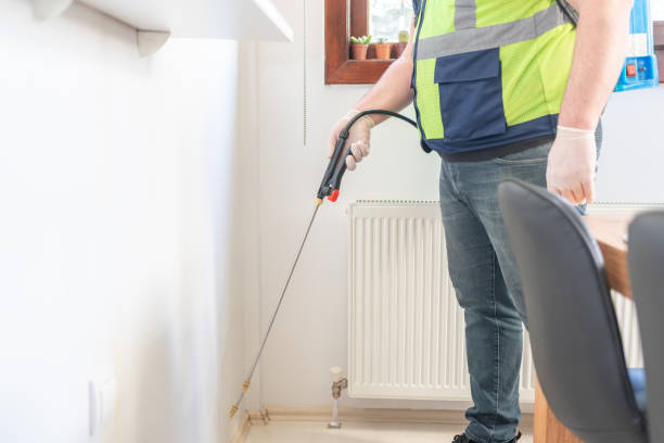 Best Flea Control Services  in Denison, IA