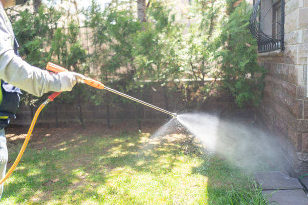 Best Emergency Pest Control  in Denison, IA