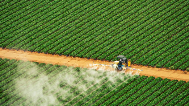 Best Best Pest Control Companies  in Denison, IA