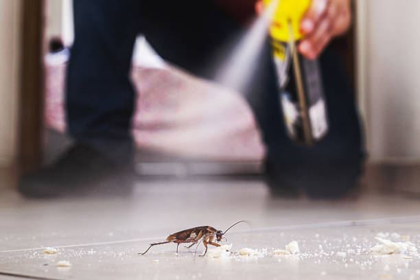 Best Commercial Pest Control Services  in Denison, IA